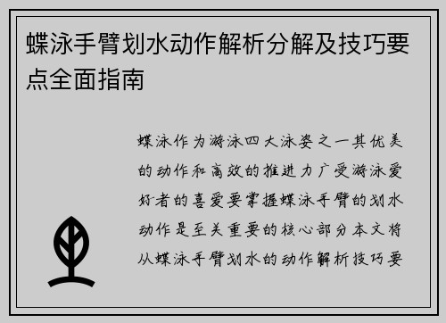 蝶泳手臂划水动作解析分解及技巧要点全面指南